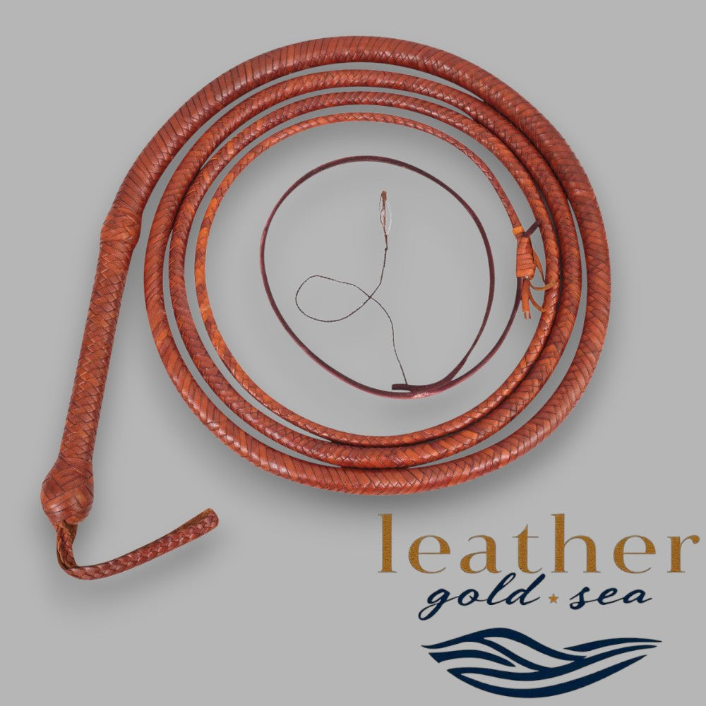 bullwhip prize