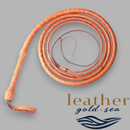 bullwhip prize